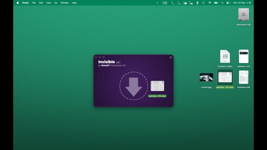 Invisible for Mac - review, screenshots