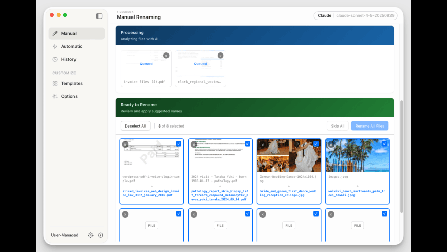 FilesDesk for Mac - review, screenshots