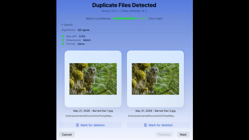 Archyv for Mac - review, screenshots