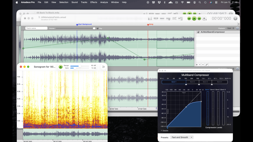 Amadeus Pro for Mac - review, screenshots