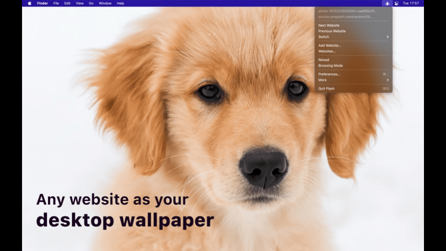 Plash for Mac - review, screenshots
