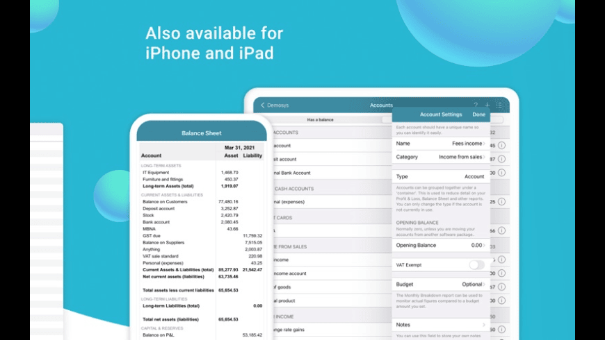 Easy Books Accounting for Mac - review, screenshots