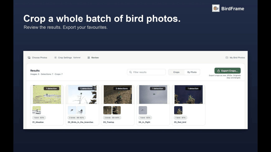 BirdFrame for Mac - review, screenshots