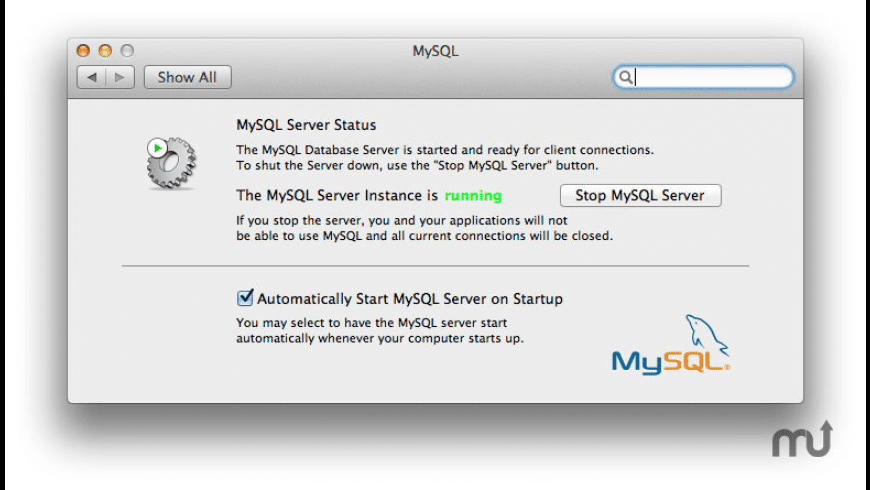 Mysql Mysql