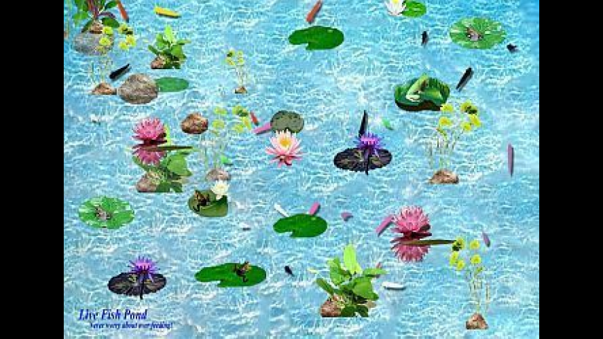 Fish Games For Mac Fish Games For Mac