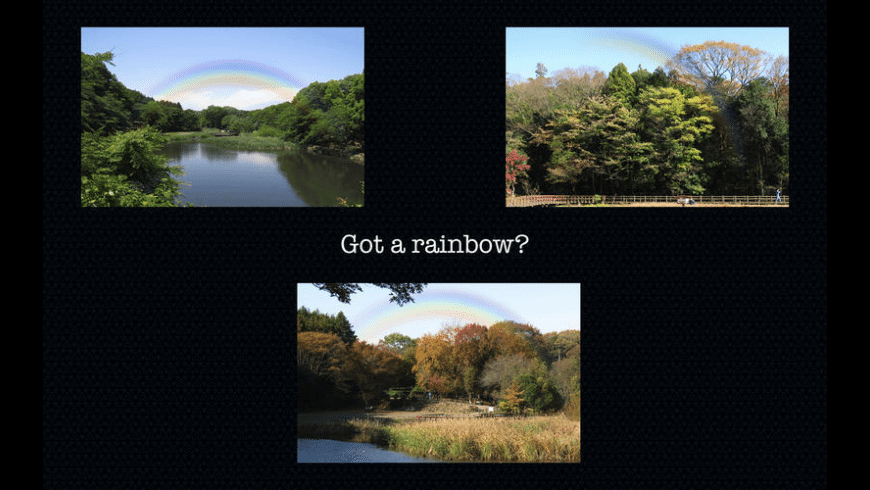 Polarr 1 2 0 – Lightweight And Professional Photo Editor Polarr 1 2 0 – Lightweight And Professional Photo Editor