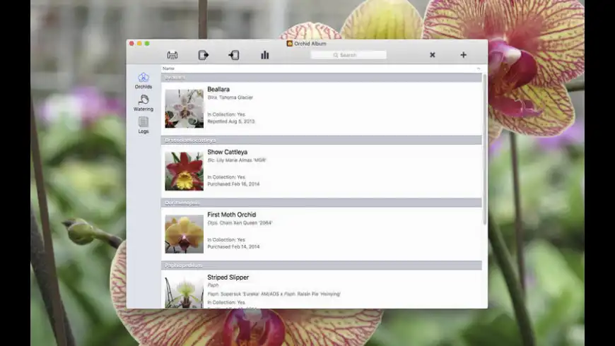 Orchid Album For Mac Free Download Review Latest Version