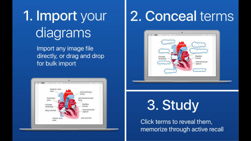 Flashcards for Diagrams for Mac - review, screenshots