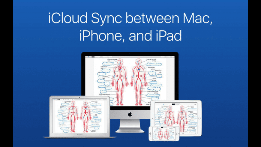 Mac Apps For Flashcards Mac Apps For Flashcards