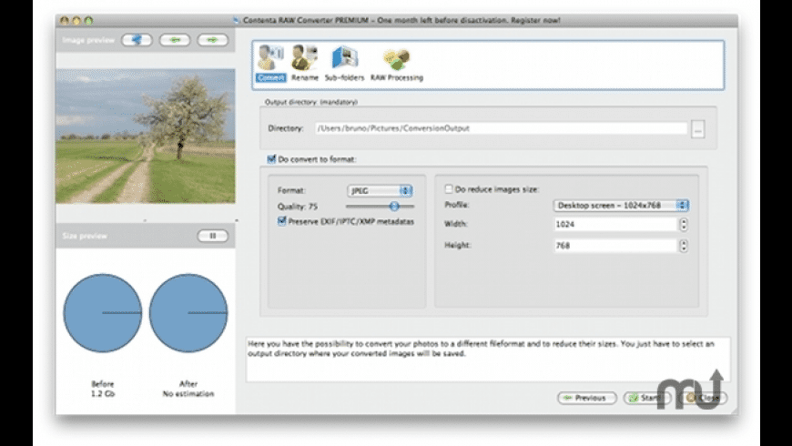 Convert raw to jpeg free Convert raw to jpeg free