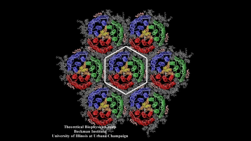 Vmd Download Mac Os X Vmd Download Mac Os X