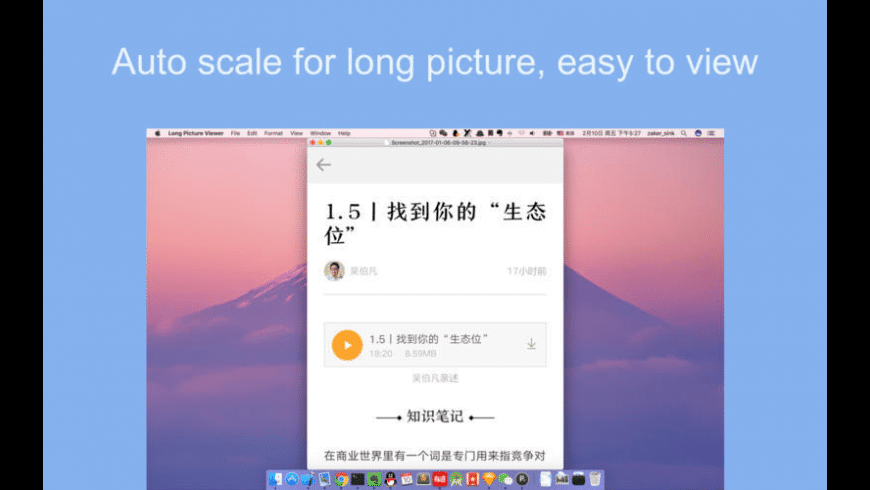 Long Picture Viewer for Mac - review, screenshots